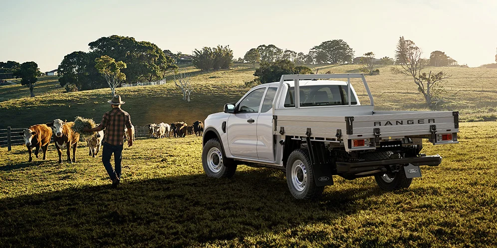 A white Ranger cab chassis on a hill farm with cattle at first light